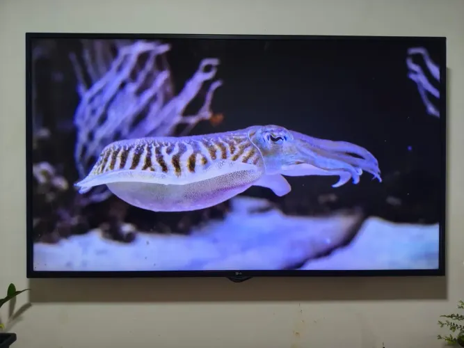 TV SMART LG 4K 43 POLEGADAS