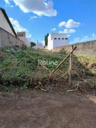 Terreno à venda, Cidade Jardim - Uberlândia/MG - Rotina Imobiliária