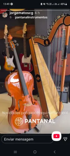 Harpa Paraguaia nova