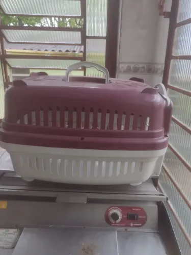 Caixa transporte Canina