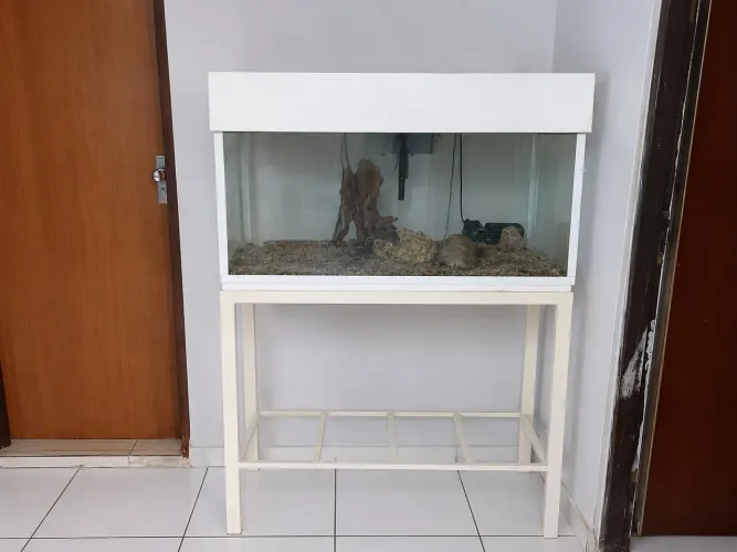 Aquário