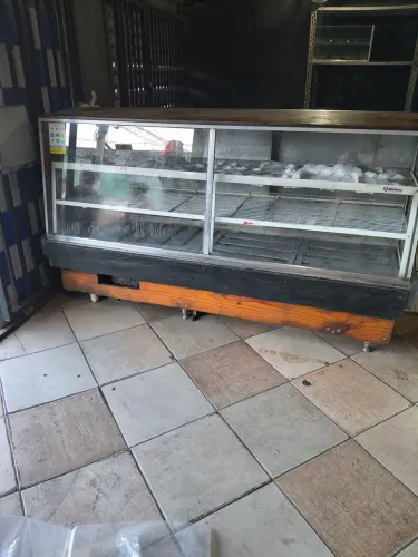 Freezer horizontal