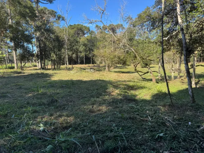 Chácara borda no campo