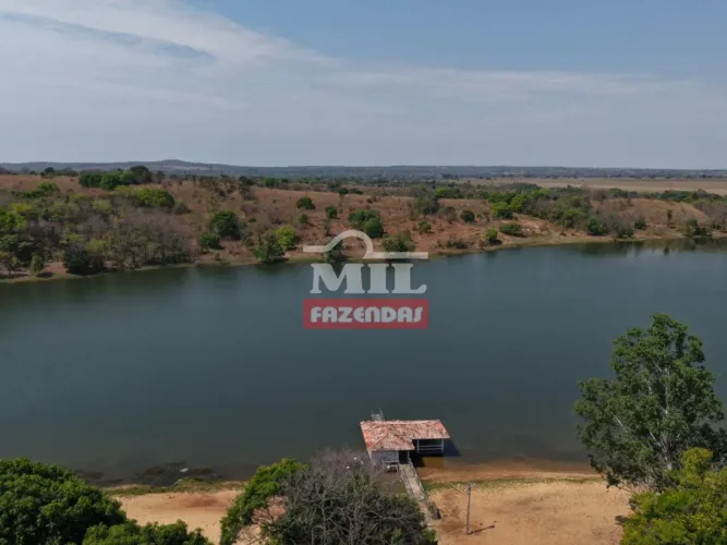 Fazenda 156 Alqueires (755 Hectares) Mozarlandia - GO