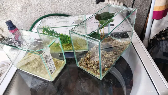 3 aquarios por apenas 120,00