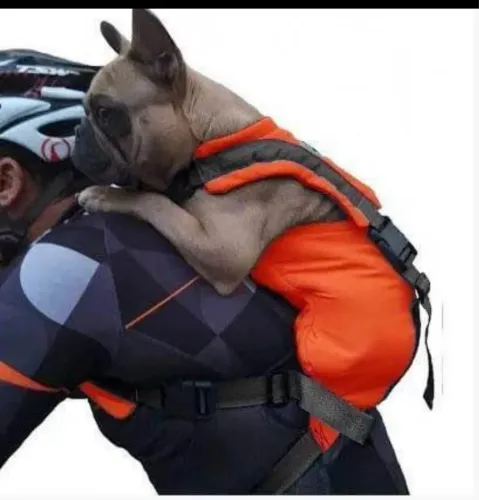 Mochila costas pet