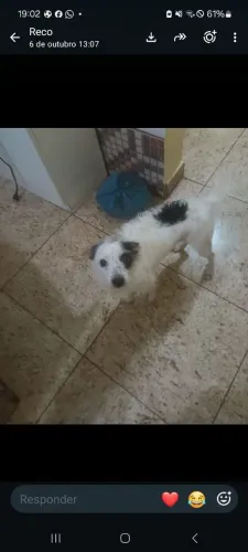 Adoção com amor
