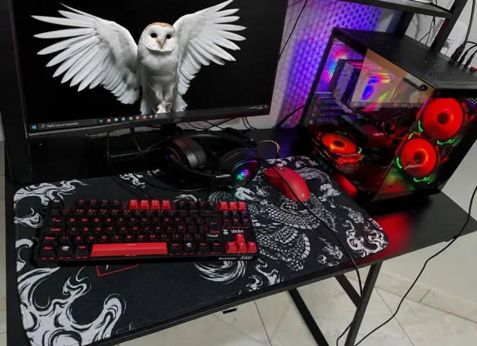 PC GAMER (Setup incluso)