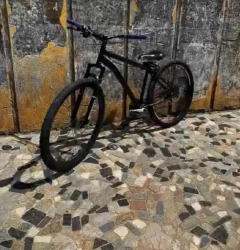 Bike aro 29 