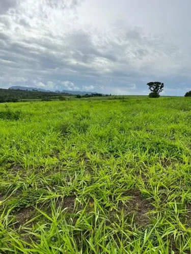 Fazenda de 15.5 alqueires em Paraúna-GO