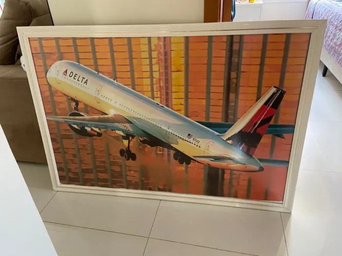 Quadro Decorativo Avião Delta