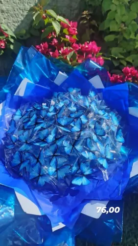 Buquê de Borboletas 