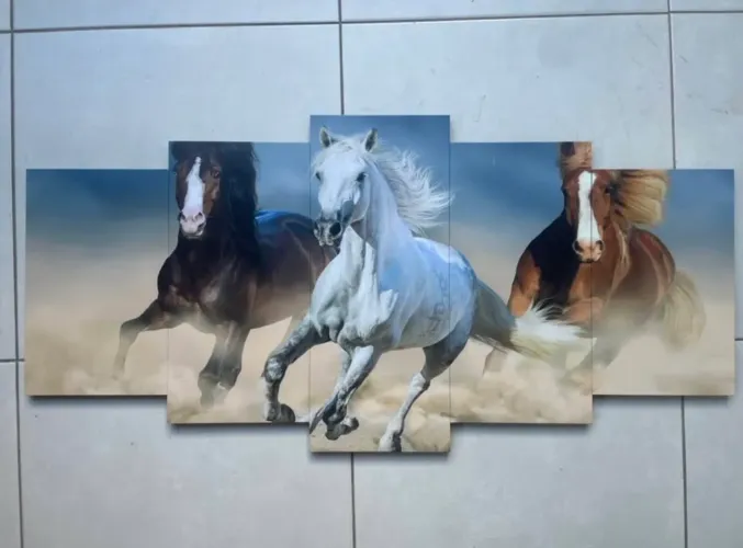 Quadro Decorativo Cavalos