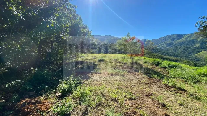 Área à venda no bairro Bairro dos Oliveiras - Pindamonhangaba/SP