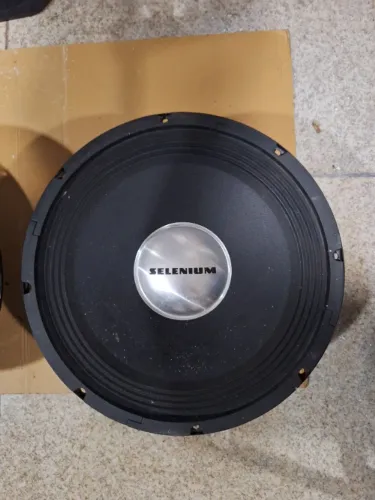 Alto Falante Selenium 12PW3 Woofer