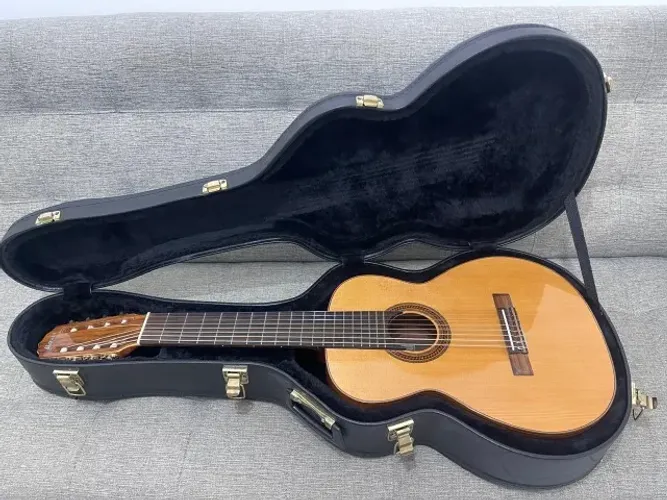 VIOLÃO PROFISSIONAL 8 CORDAS ROZINI + HARDCASE ROZINI 