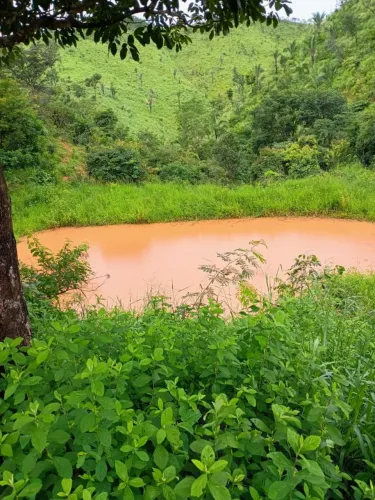 Fazenda Goiás Planaltina
