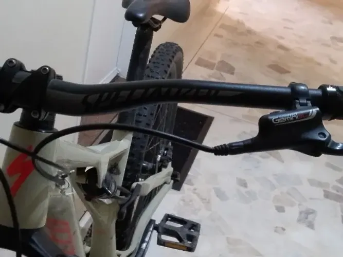 bike specialized stumpjumper Alloy 29