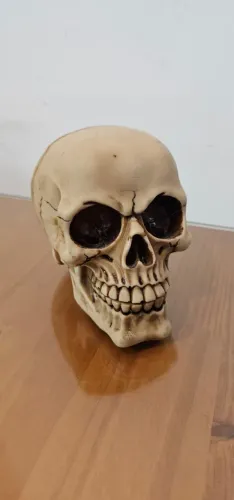 Caveira de resina decoração