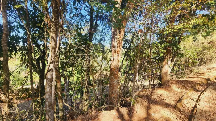 Terreno à venda, em ótima localização do condomínio Fazendinhas de Simão pereira Simão Per