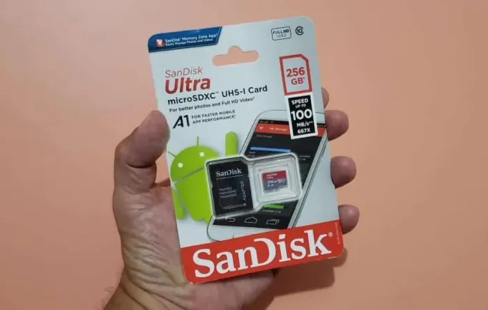 MicroSD SanDisk 256Gb