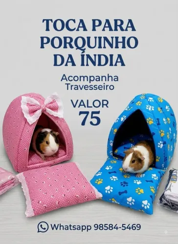 Toca para porquinho da índia