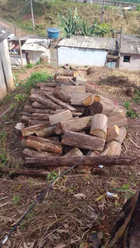 Lenha de eucalipto para doação