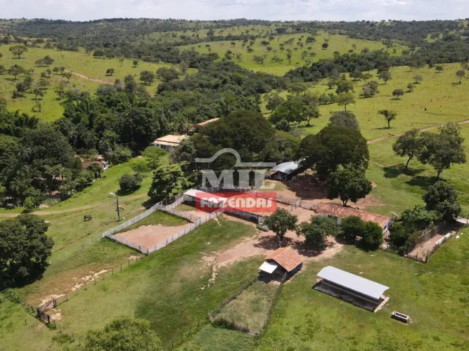 Fazenda 310 Alqueires (1.500,4 hectares) Catalão - GO