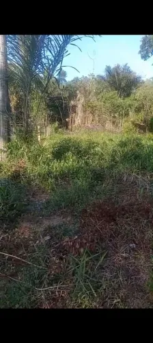 Terreno em boa localização colares