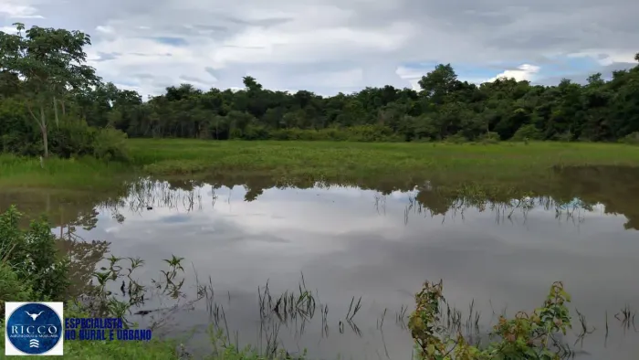 Fazenda à Venda em Porangatu-GO  141 Alqueires