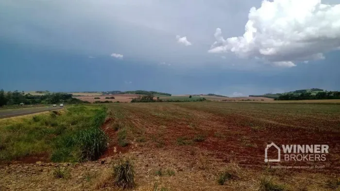 Área as margem da PR 323