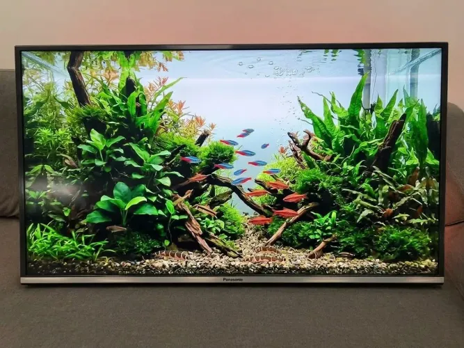 Tv smart
