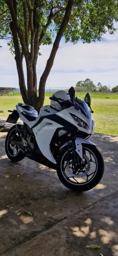 Ninja 300