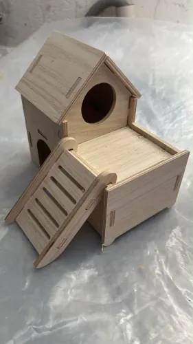 Hamsters 