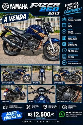 Fazer 250 2013 flex