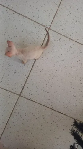 Doação