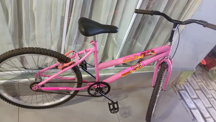 Bicicleta Aro24.