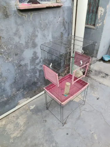 Gaiola para passarinho