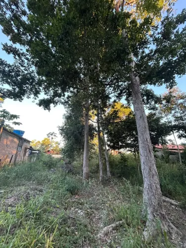 Terreno no Bairro Mangabeiras