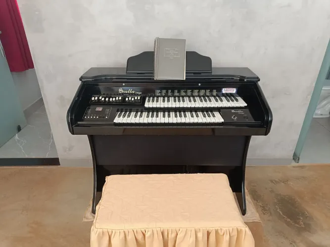 Órgão eletrônico