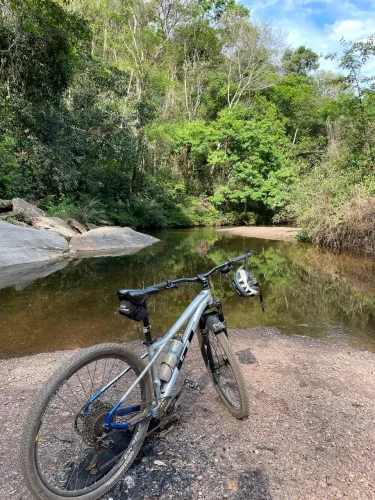 GT avalanche expert aro 29