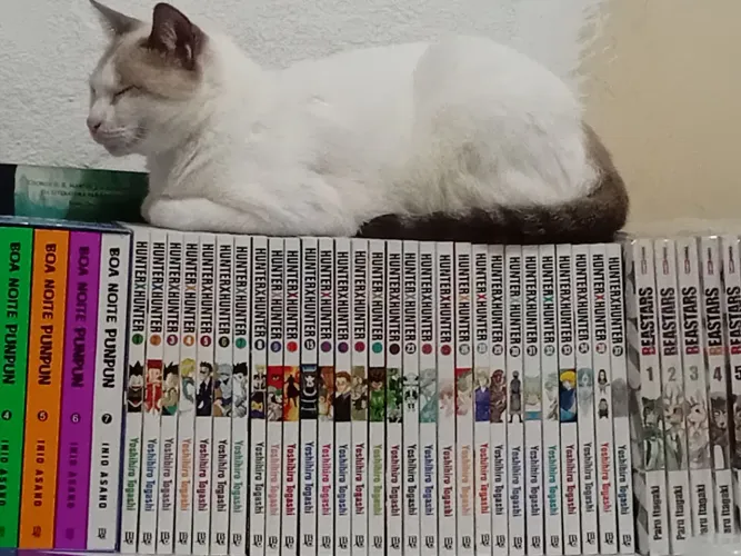 Coleção mangás
