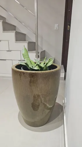 Vaso cerâmica - planta