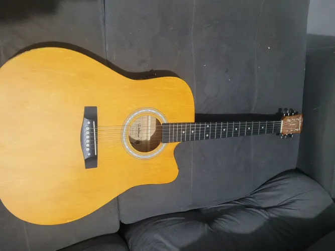 Violão Aço Waldman 