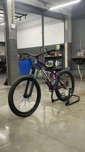 Absolute Brutus pro