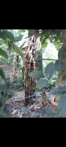 VENDO TERRENO