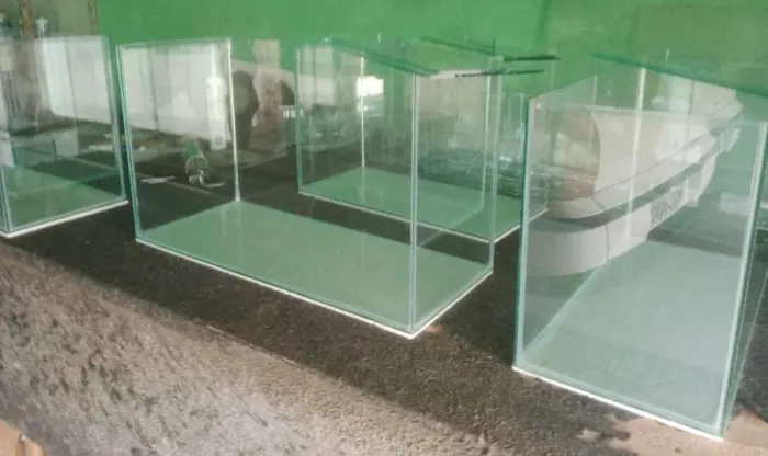 Aquário direto da fabrica 