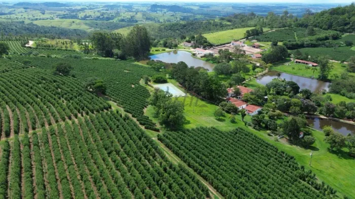 FAZENDA CAFEEIRA DE ALTO PADRÃO À VENDA -SERRA NEGRA - SP