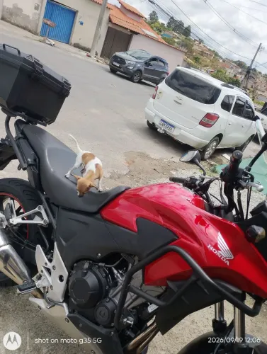 CB 500X