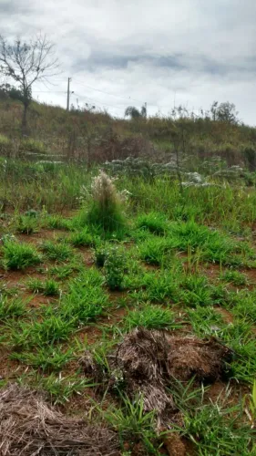 Vendo terreno no condomínio jardim do continente em coronel Pacheco